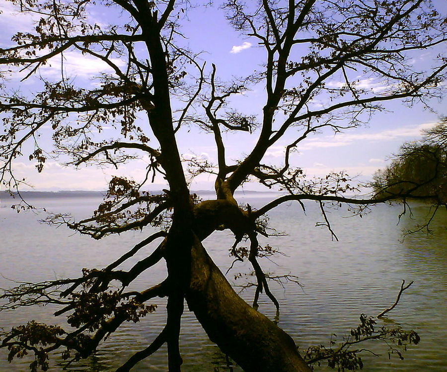 Abend am Starnberger See