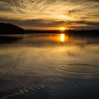 Abend am Steinberger See