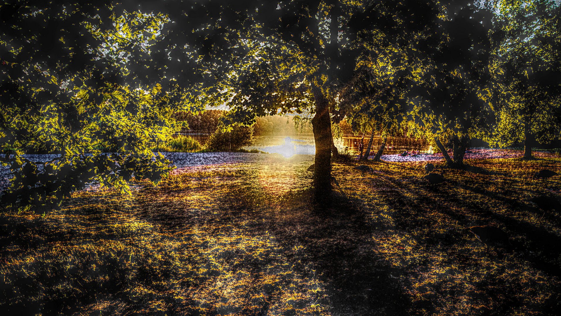 Abend am Streitköpflesee in Linkenheim (HDR)