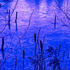 Abend am Teich