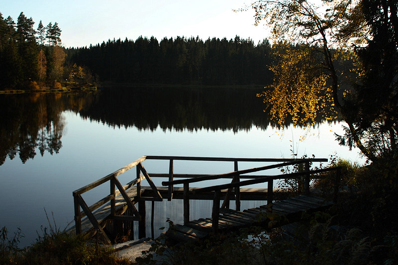 Abend am Teich