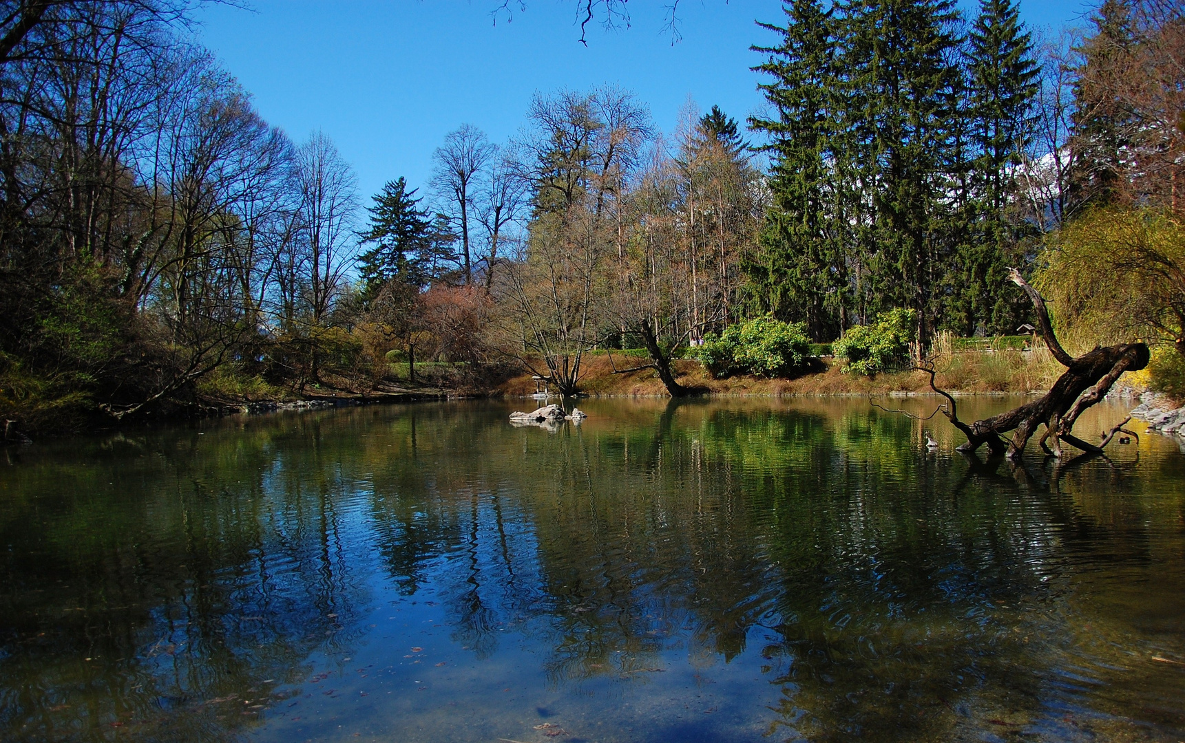 Abend am Teich