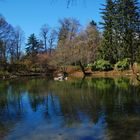 Abend am Teich