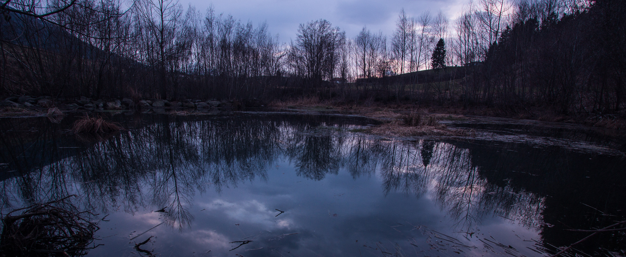 Abend am Teich