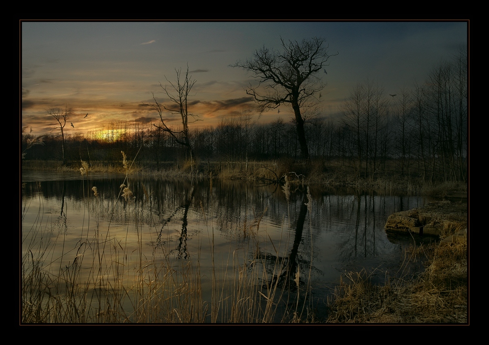 Abend am Teich