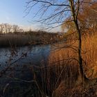 Abend am Teich