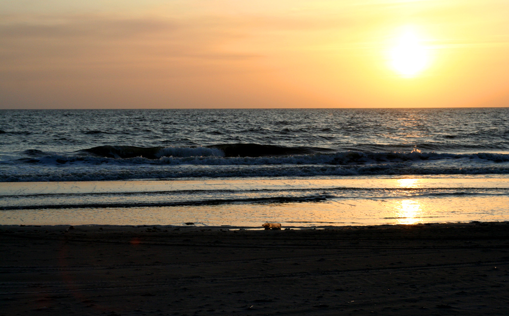 Abend am Vejers Strand