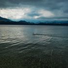 Abend am Vierwaldstättersee