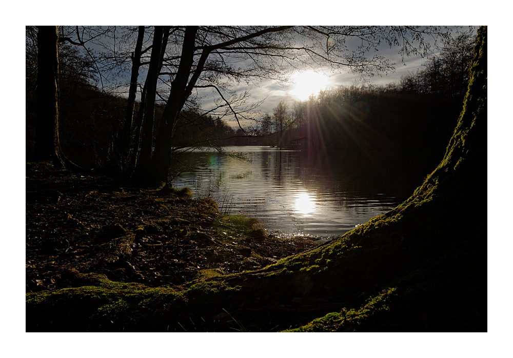 Abend am Waldweiher 1