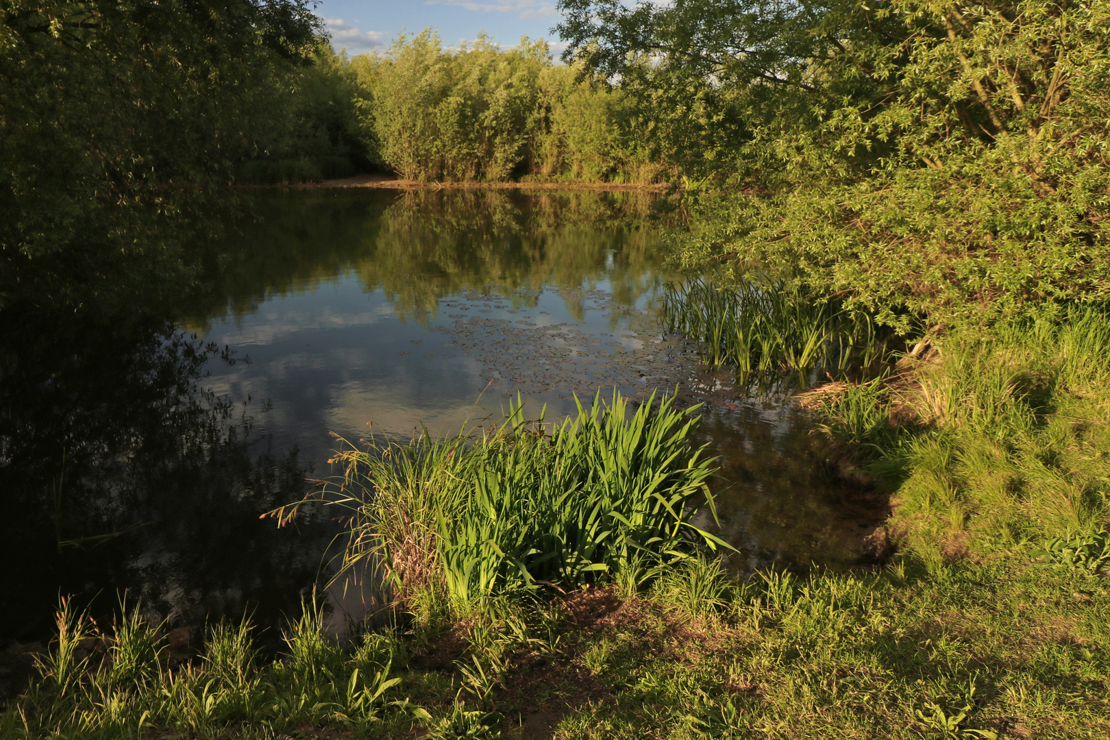 Abend am Wasser
