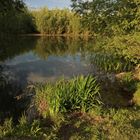 Abend am Wasser