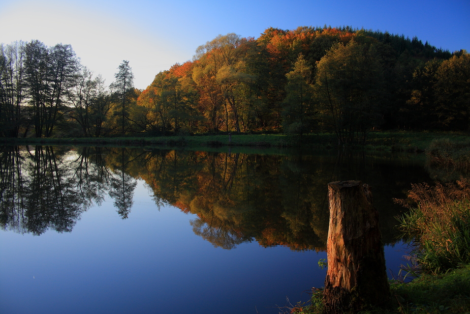 Abend am Weiher