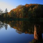 Abend am Weiher