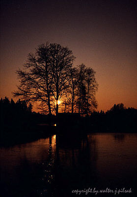 Abend am Weiher