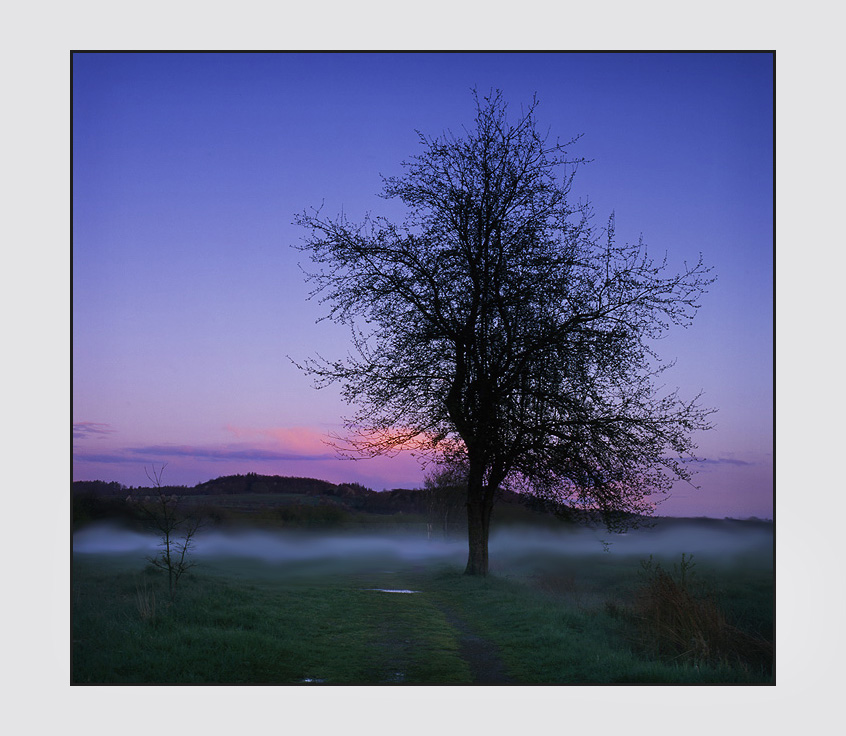 Abend am Weiher