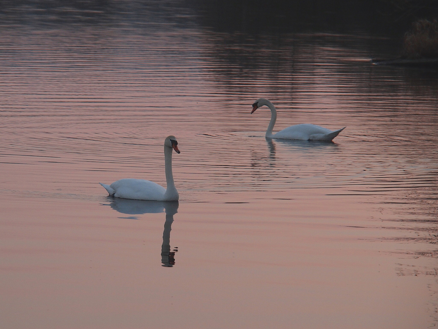 Abend am Weißenstädter See