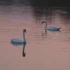 Abend am Weißenstädter See