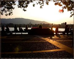 Abend am Zürichsee