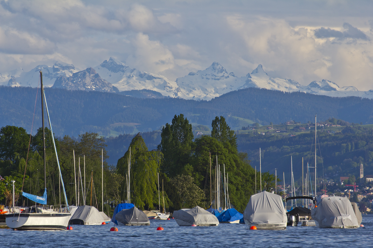 Abend am Zürichsee - Blick auf die Alpen