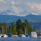 Abend am Zürichsee - Blick auf die Alpen