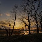 Abend an den Lübschützer Teichen.