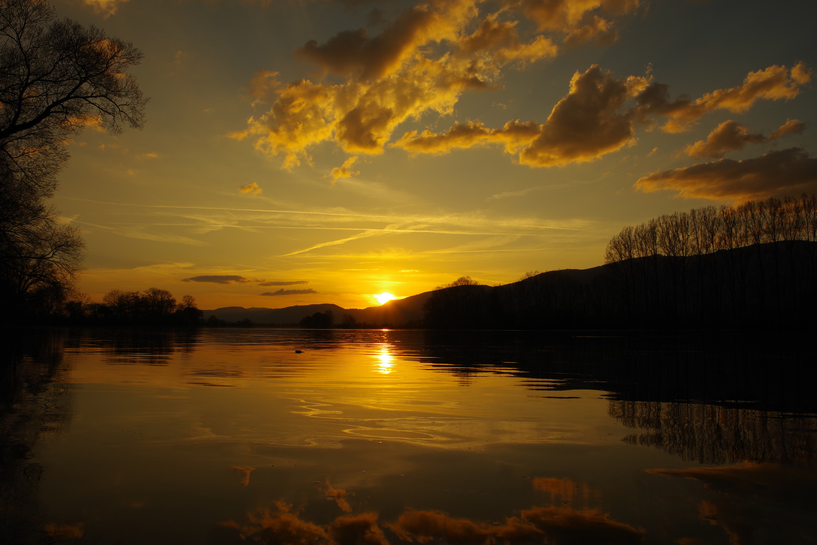 Abend an der Aare