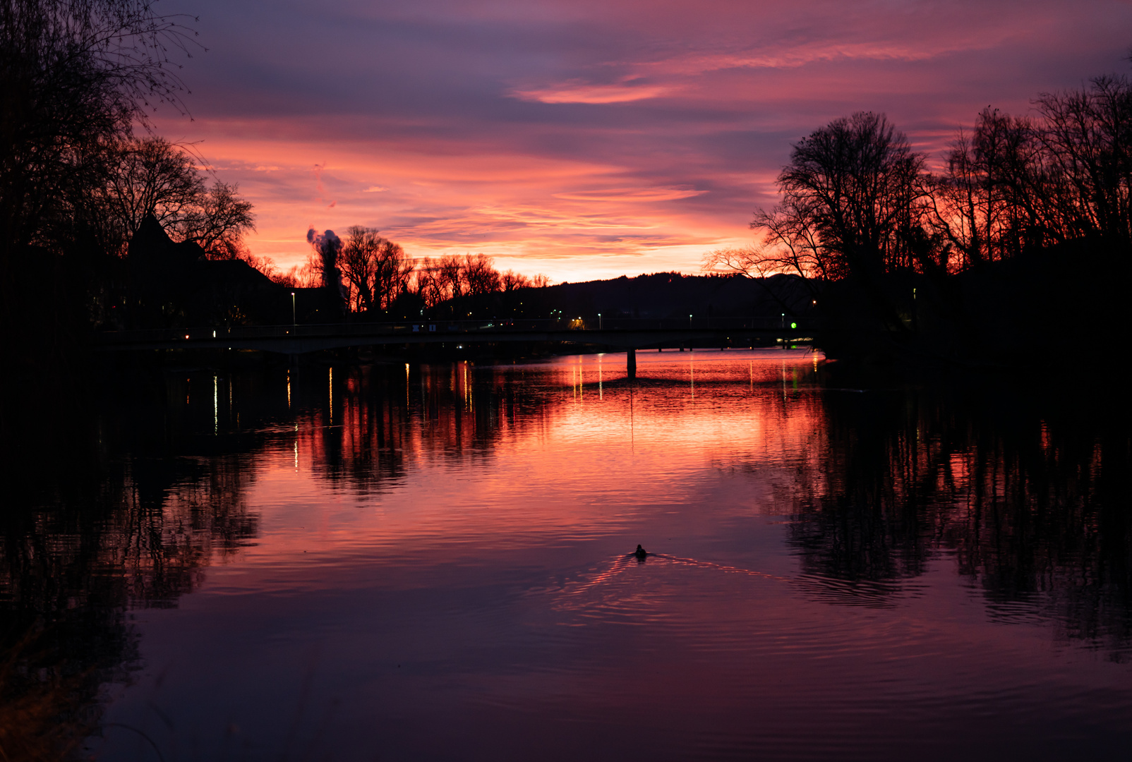 Abend an der Aare