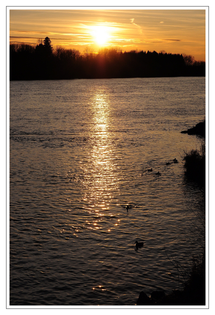 Abend an der Donau