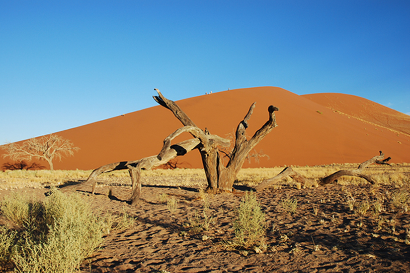 Abend an der Dune 45