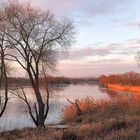 Abend an der Ehle bei Magdeburg