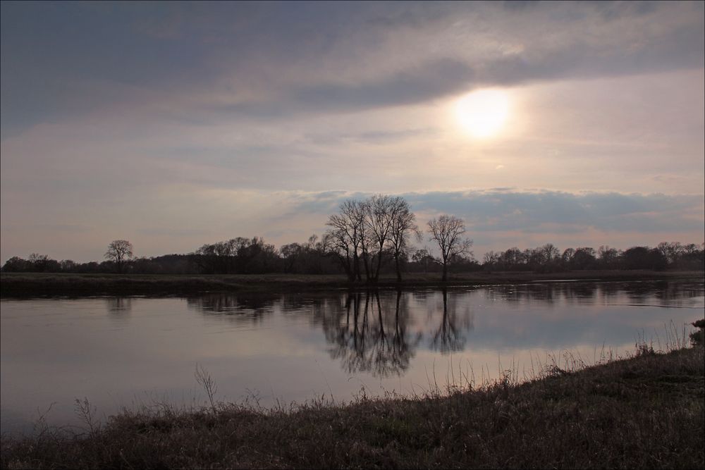 Abend an der Elbe (2)