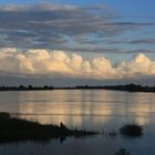 Abend an der Elbe