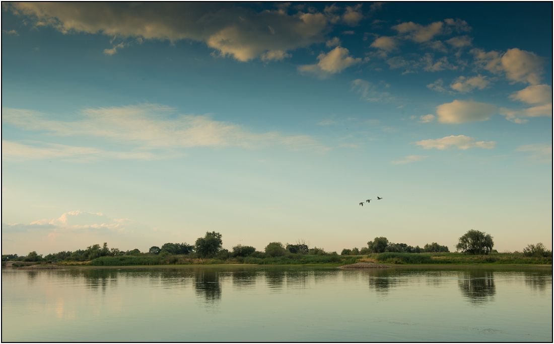 Abend an der Elbe