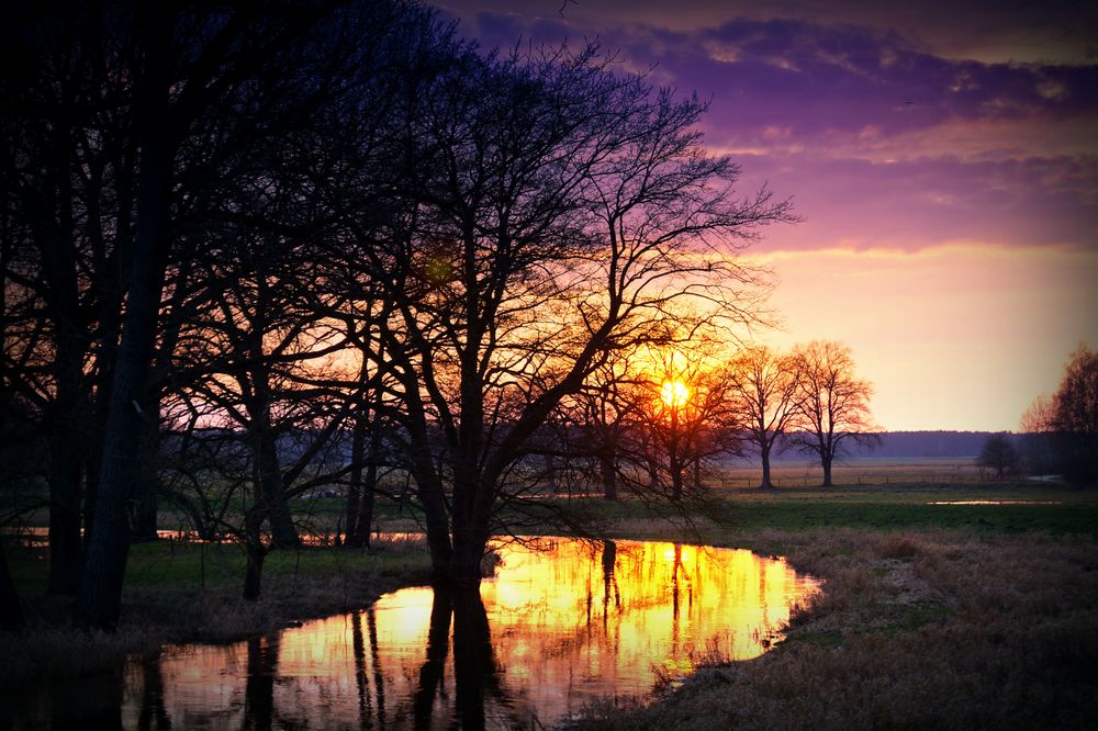 Abend an der Elbe