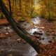 Landschaft Belgien