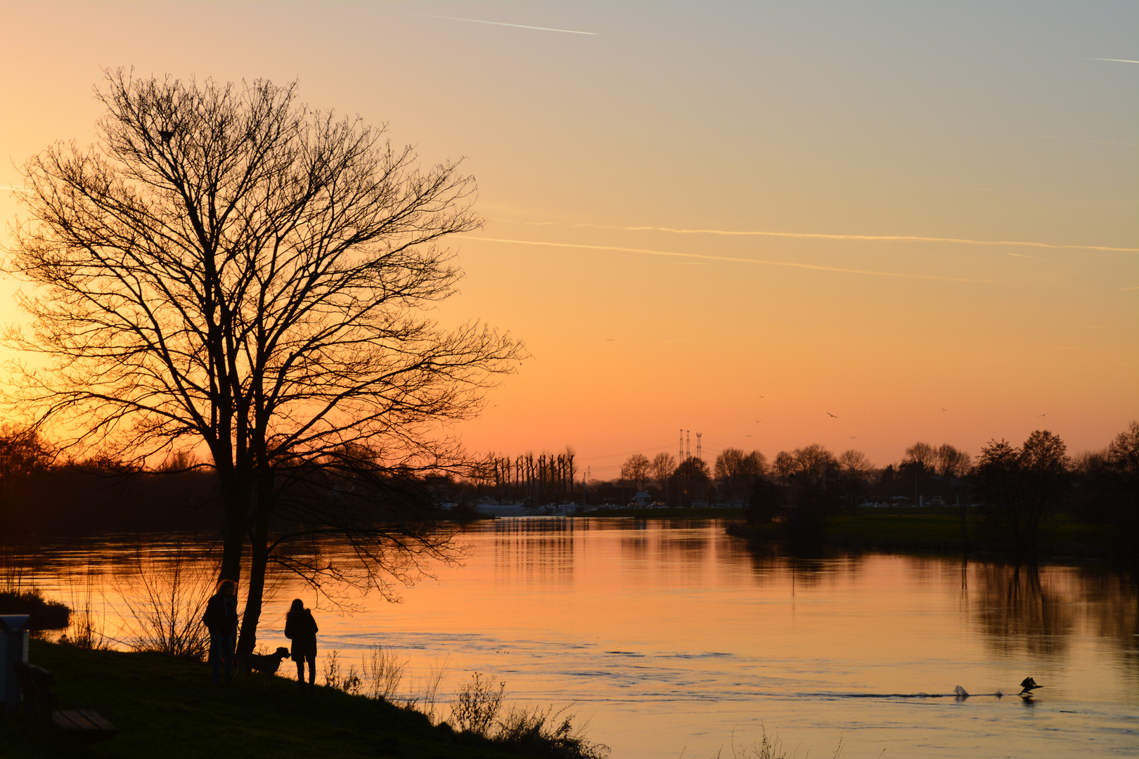 Abend an der Maas