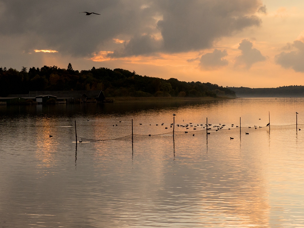 Abend an der Müritz