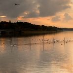 Abend an der Müritz