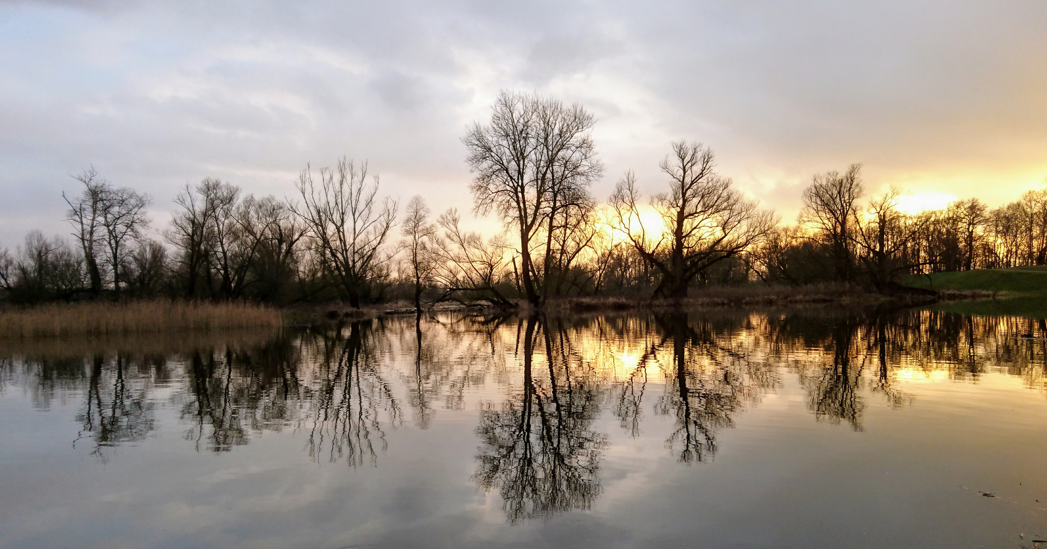 Abend an der Oder 