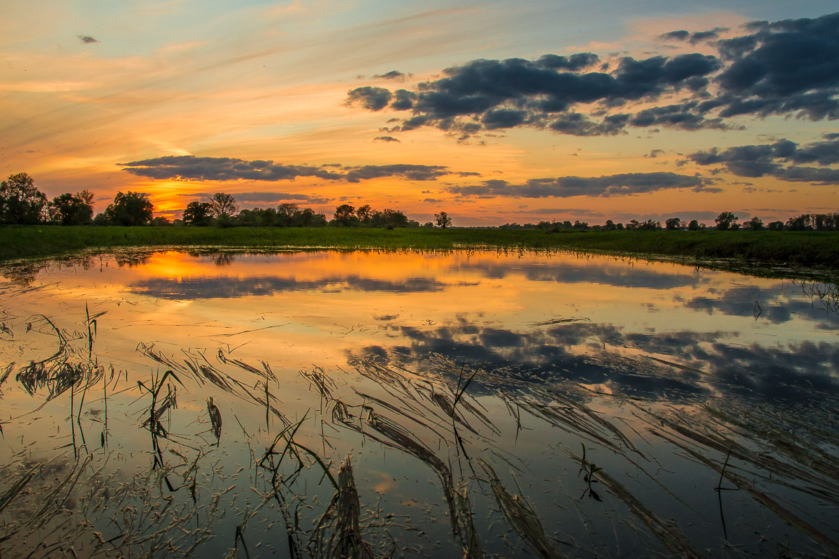 Abend an der Oder