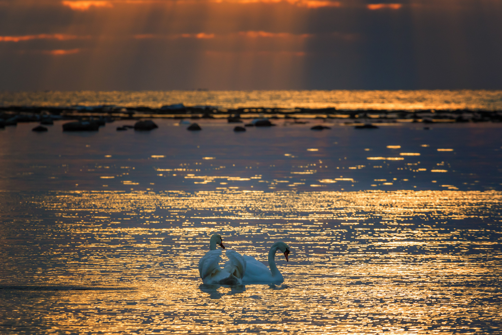 Abend an der Ostsee, Gotland