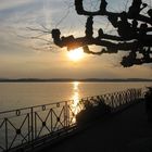 Abend an der Promenade von Meersburg, April 2007