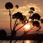 Abend an der Schlei