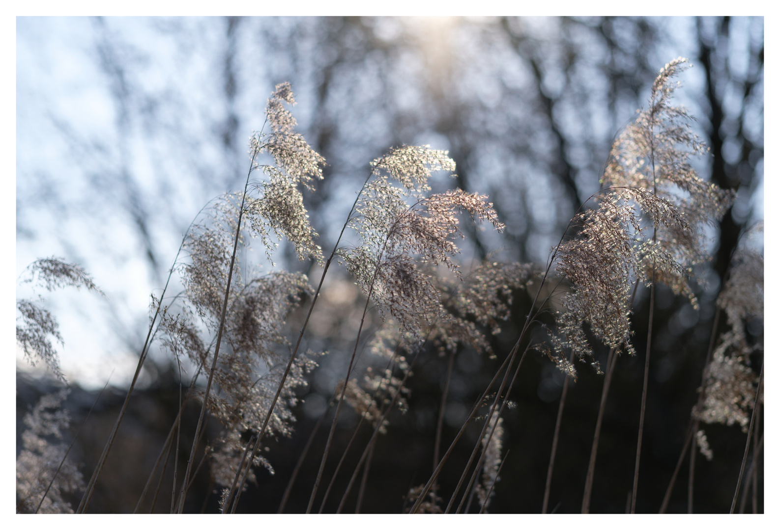 Abend an der Wieslauf