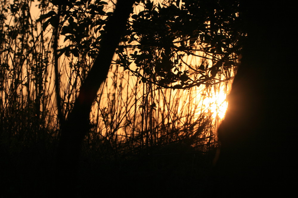 Abend an einem Feldsoll