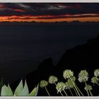 Abend an Madeira's Hochküste