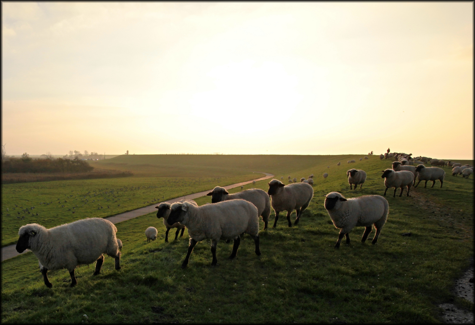 Abend auf dem Deich