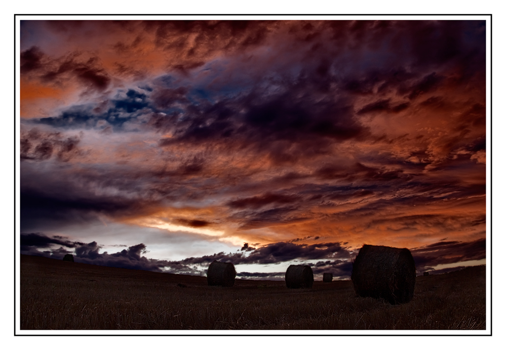 Abend auf dem Feld