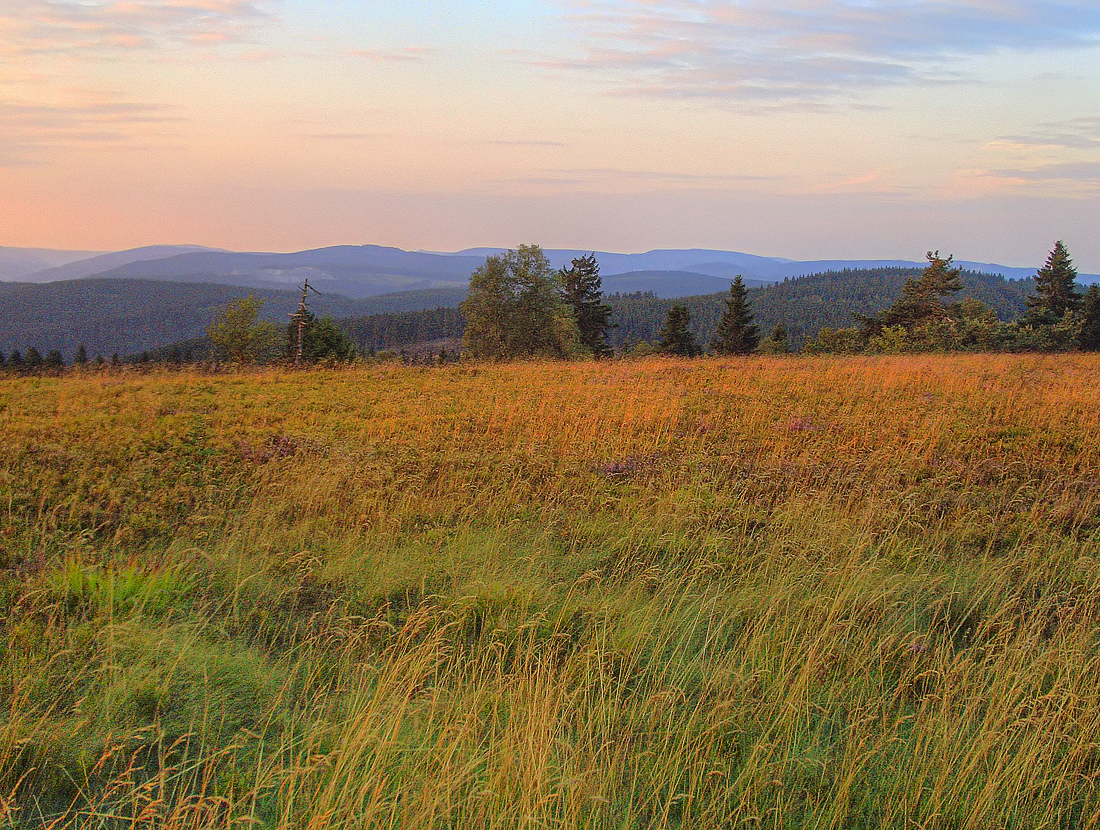 Abend auf dem Kahlen Asten 2