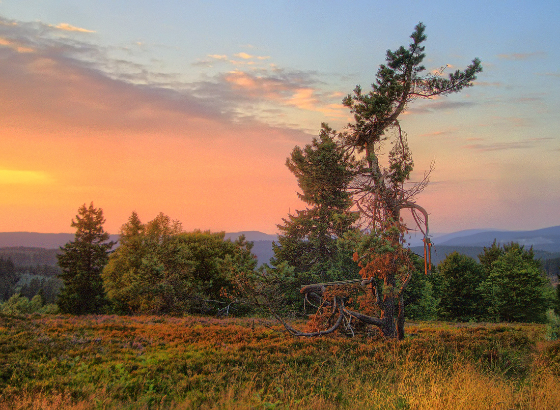 Abend auf dem Kahlen Asten